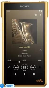 Sony Walkman WM1ZM2 Signature Click24-9038330 фото