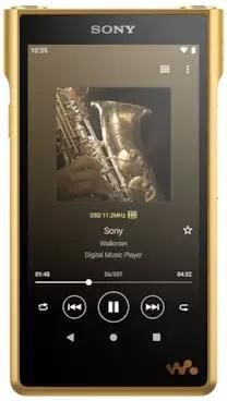 Sony Walkman WM1ZM2 Signature Click24-9038330 фото